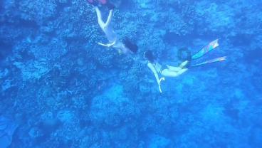 广州海灏生物创新港项目发生事故,致2死1伤,广州市挂牌督办